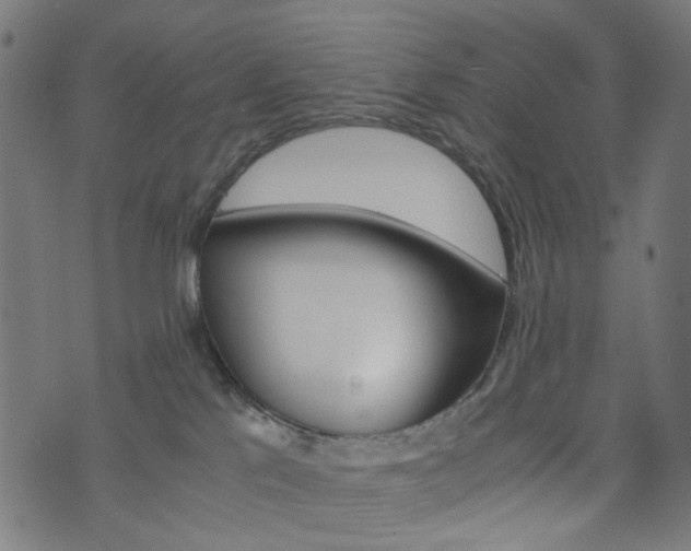 X0000076450041200610061056