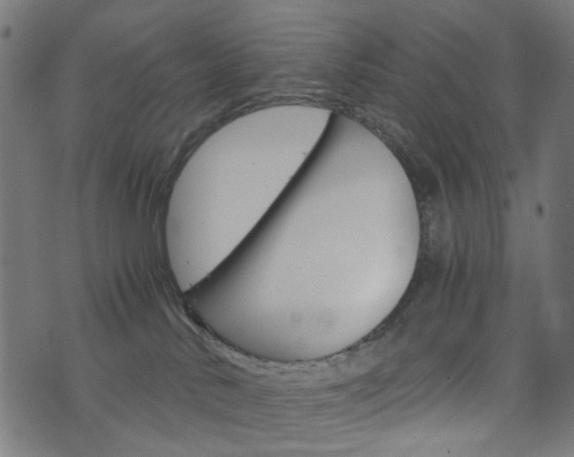 X0000076450042200610061056