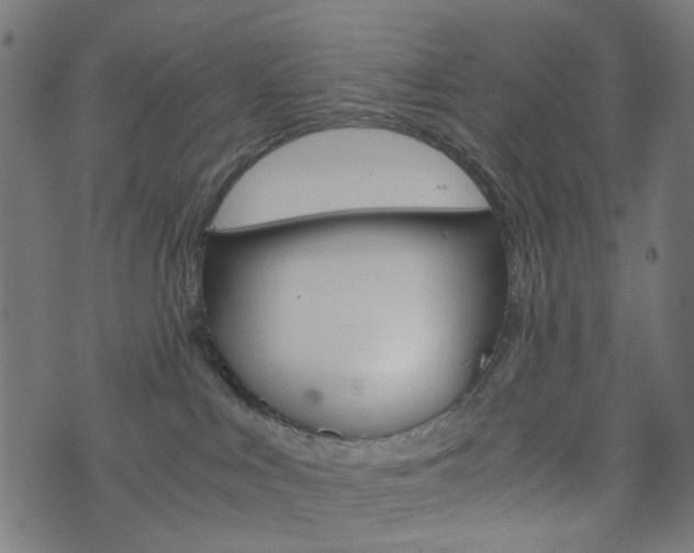 X0000076450043200610061056