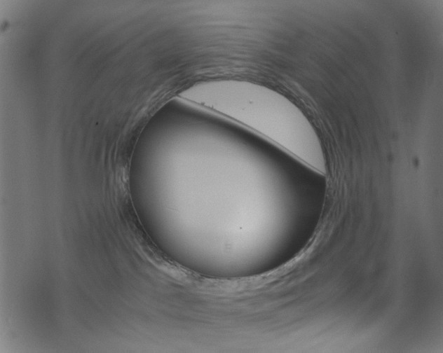 X0000076450045200610061056