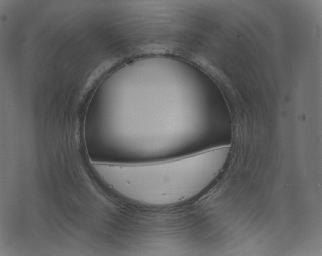 X0000076450064200610061056