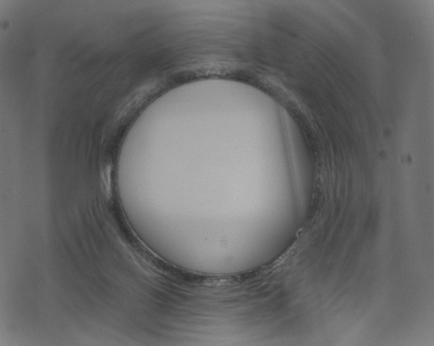 X0000076450070200610061056