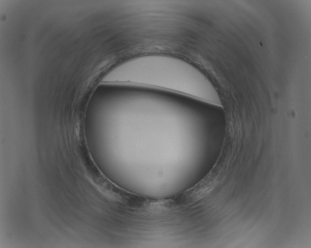 X0000076450072200610061056