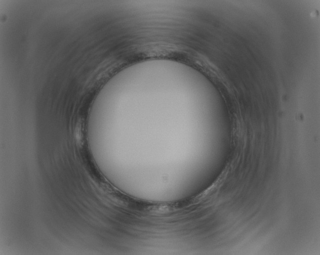 X0000076450074200610061056