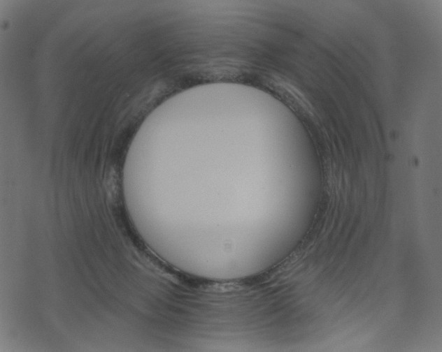 X0000076450077200610061056