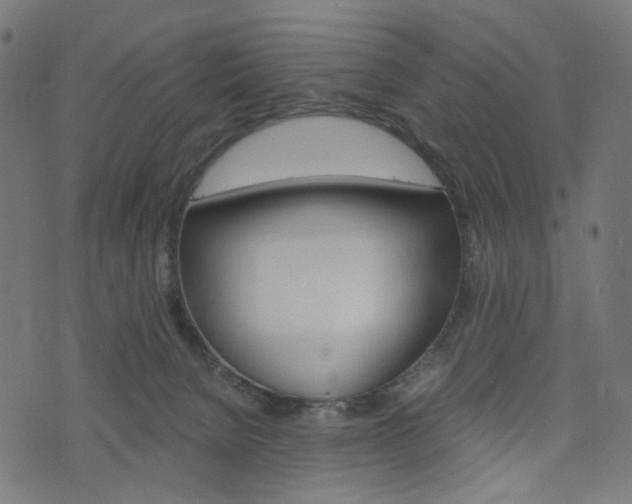 X0000076450080200610061056