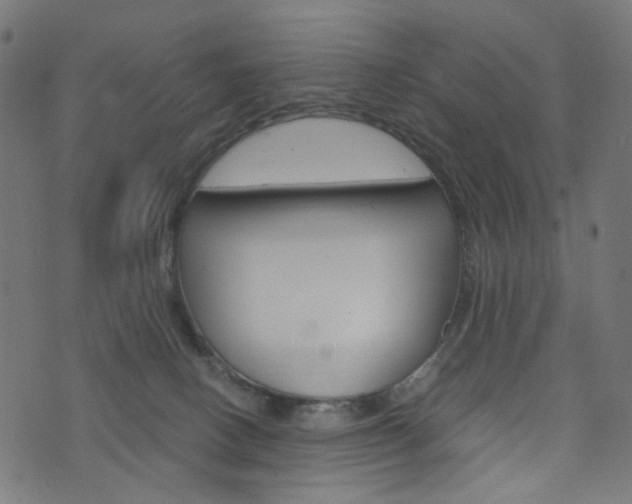 X0000076450082200610061056