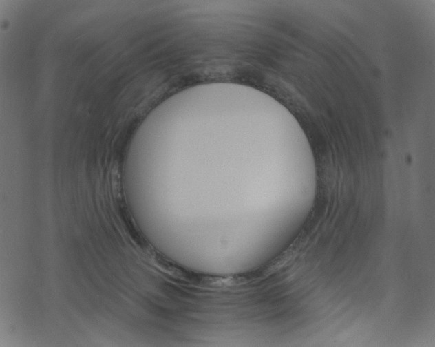 X0000076450083200610061056