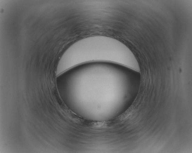 X0000076450088200610061056