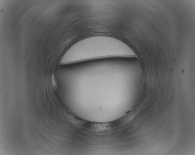X0000076450089200610061056