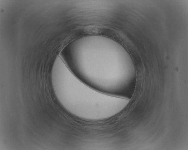 X0000076450125200610061055