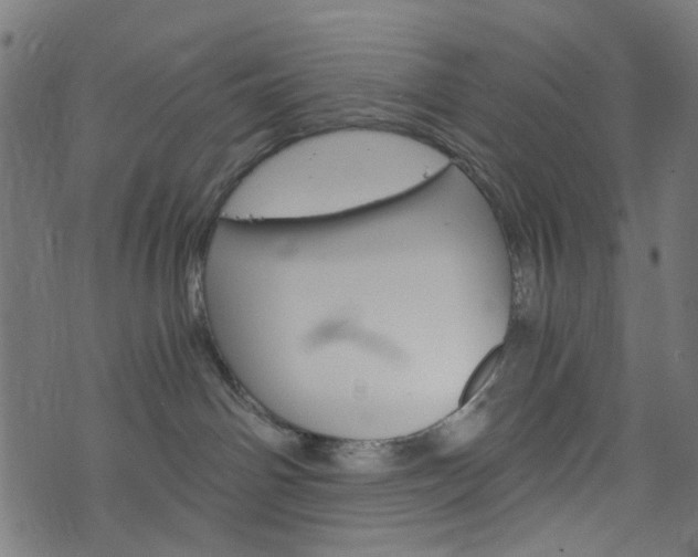 X0000076450142200610061055