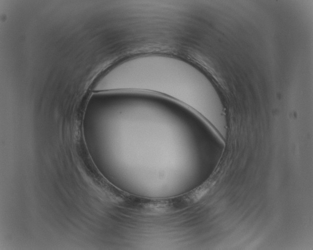 X0000076450164200610061054
