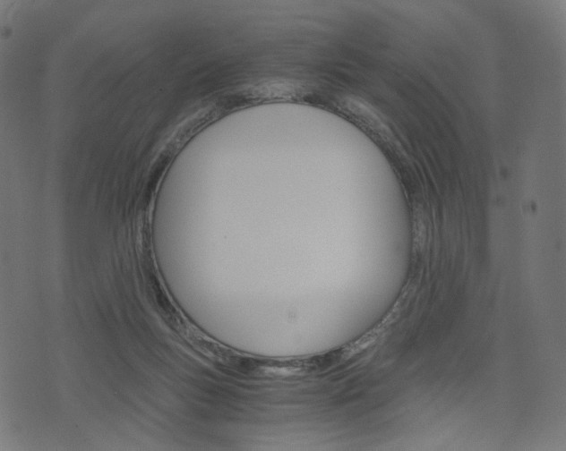X0000076450167200610061054