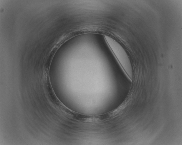 X0000076450168200610061054