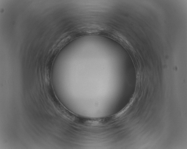 X0000076450170200610061054