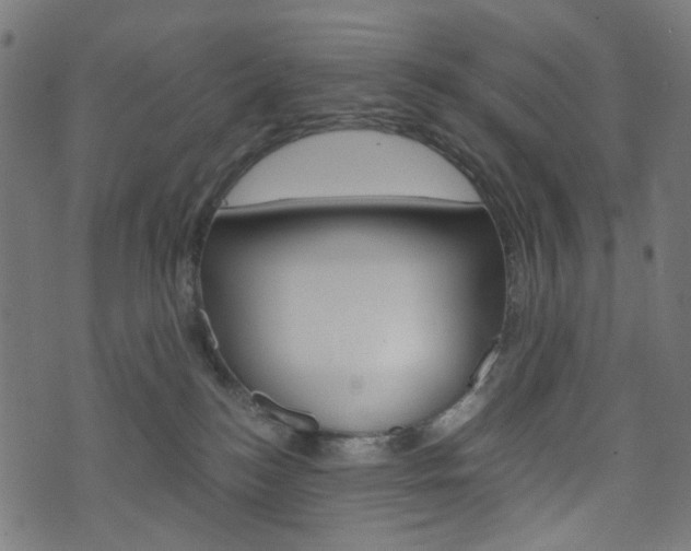 X0000076450184200610061055