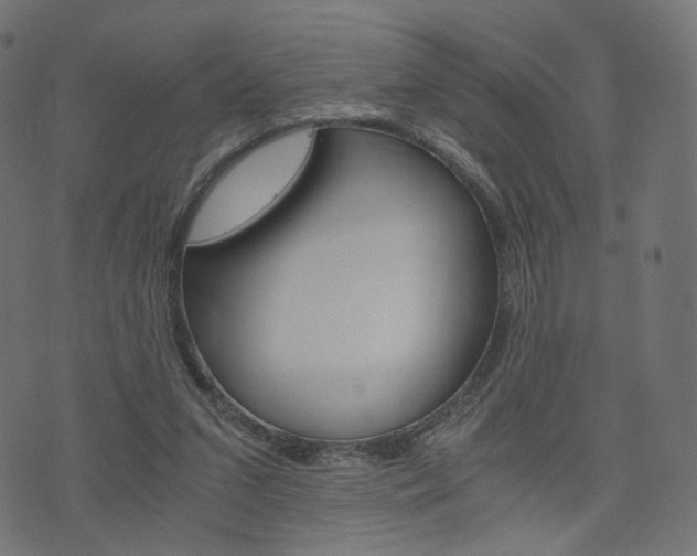 X0000076450207200610061054