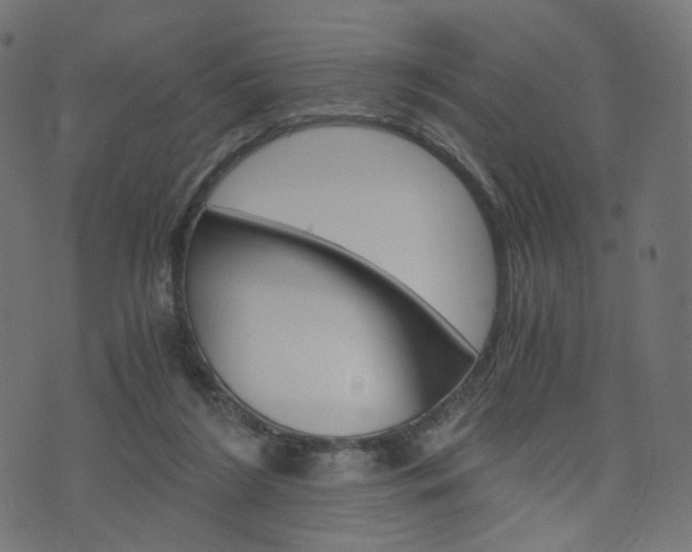 X0000076450212200610061054