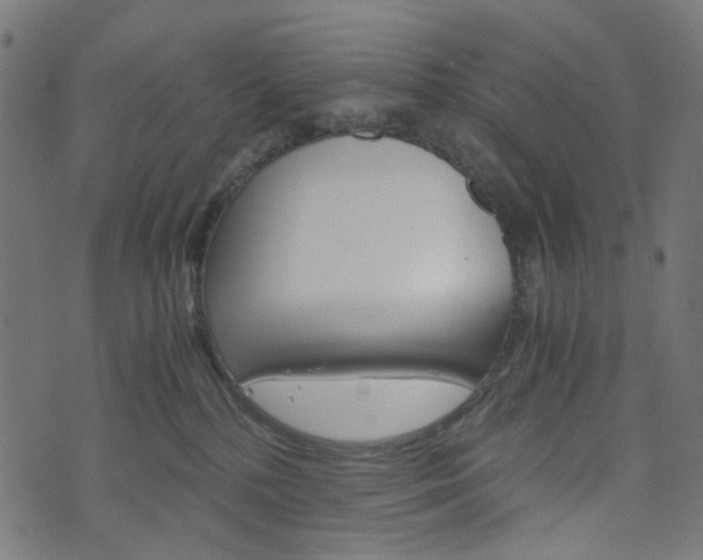 X0000076450232200610061053