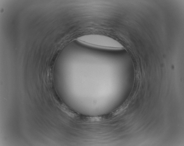 X0000076450233200610061053