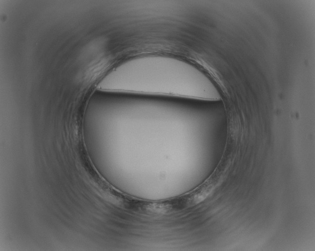 X0000076450261200610061053