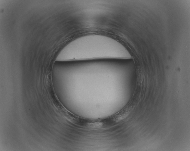X0000076450266200610061053