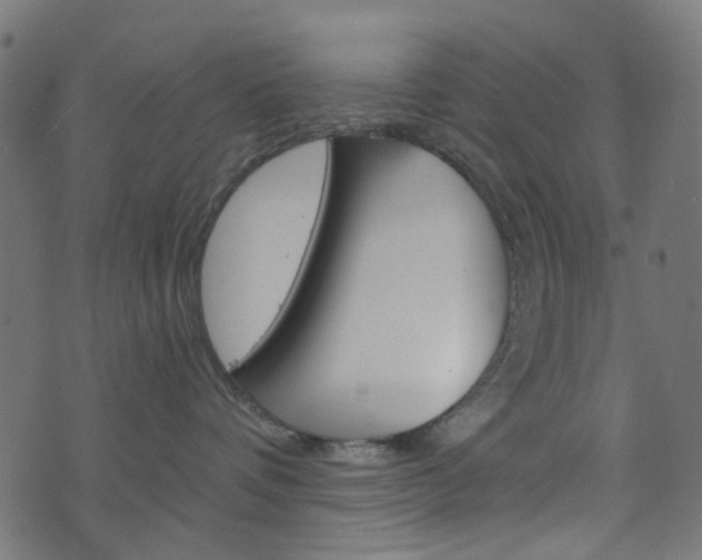 X0000076450336200610061052