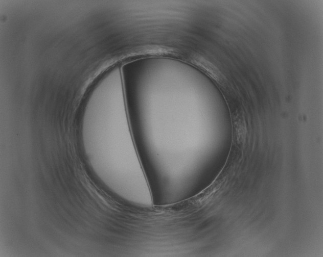 X0000076450350200610061051