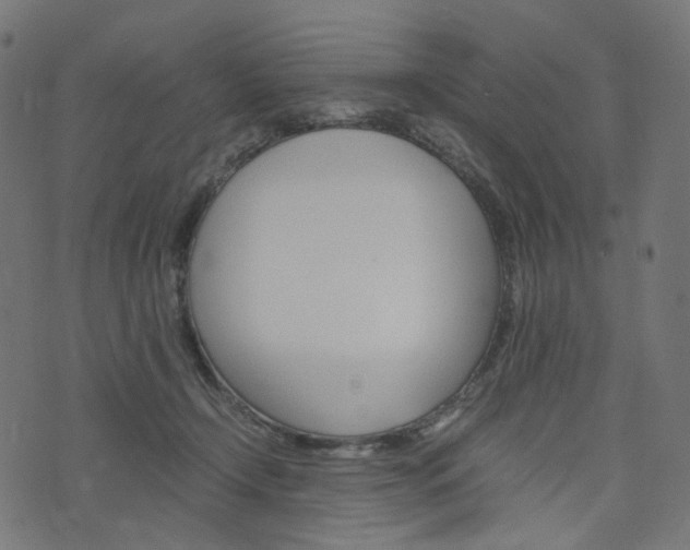 X0000076450366200610061051