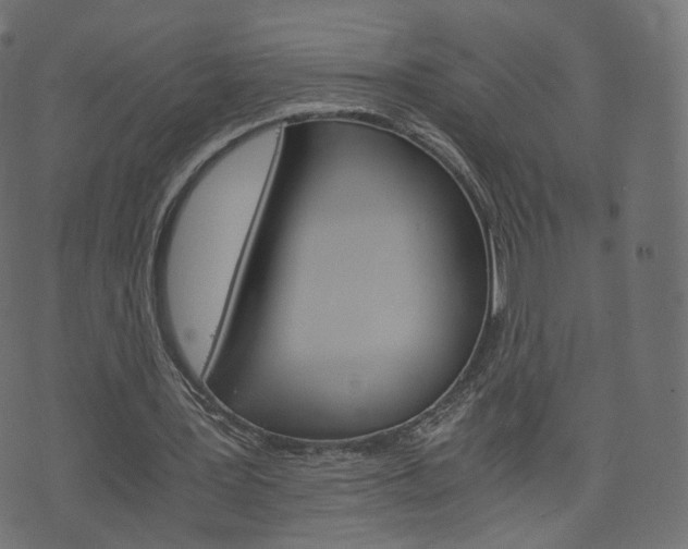 X0000076450387200610061051