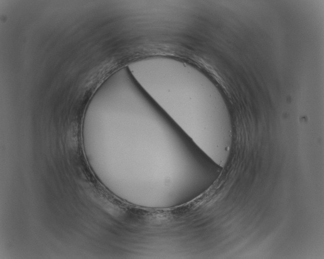 X0000076450402200610061050