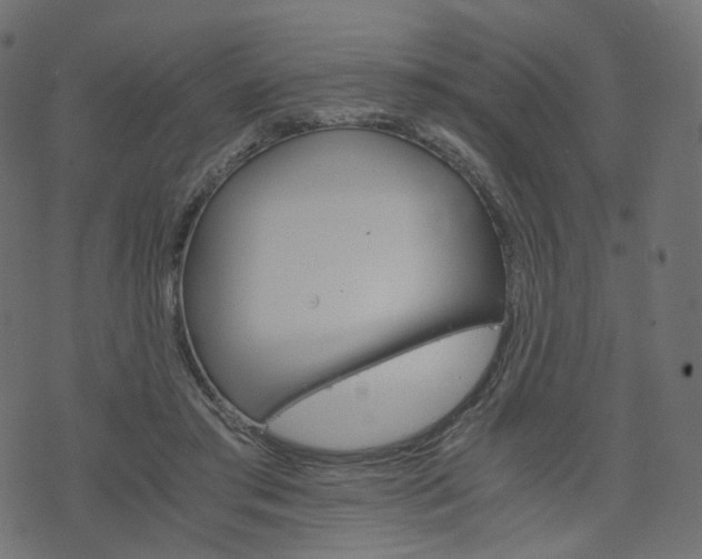 X0000076450405200610061050