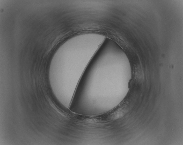 X0000076450408200610061050
