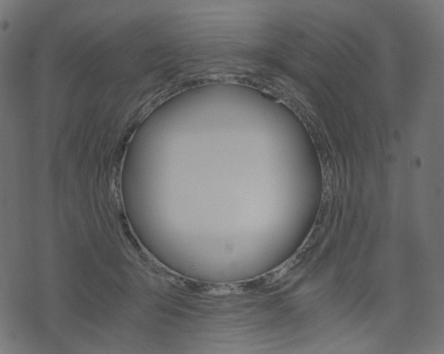 X0000076450415200610061050