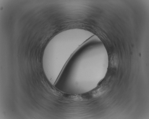 X0000076450424200610061050