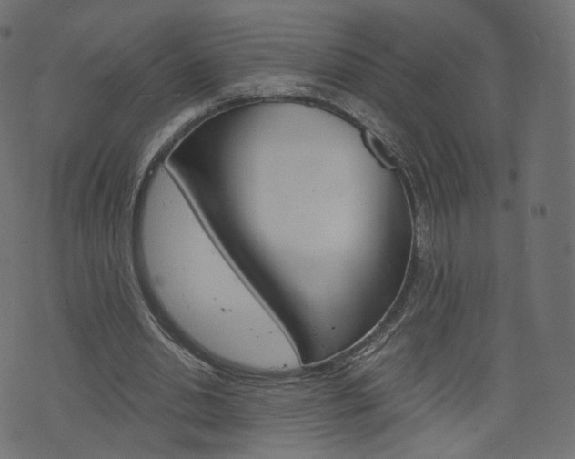 X0000076450438200610061049