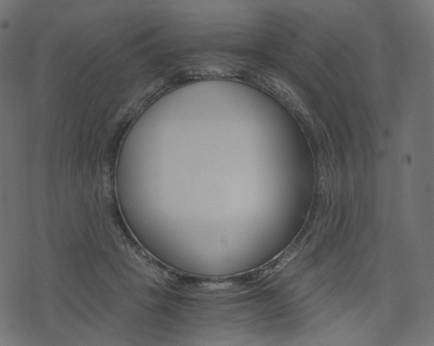 X0000076450457200610061050