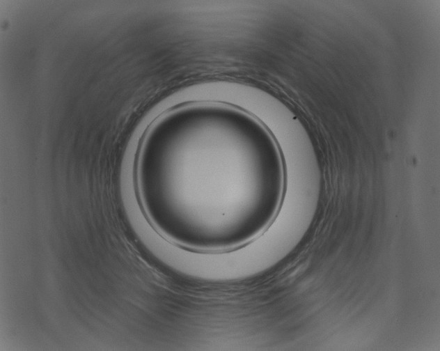 X0000076450462200610061050