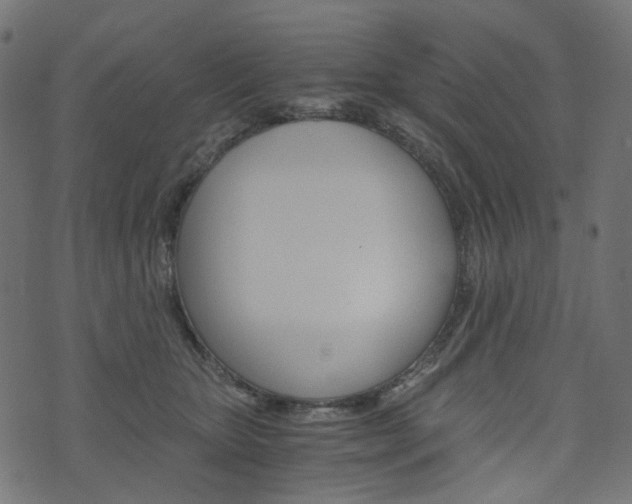 X0000076450467200610061050
