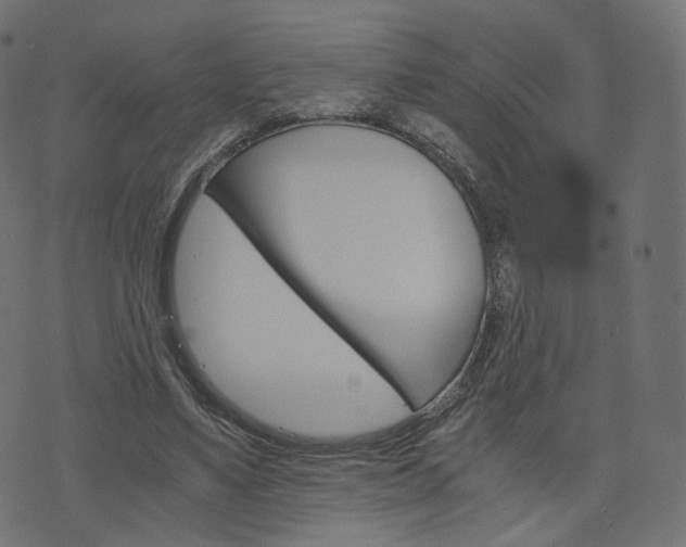 X0000076450491200610061049
