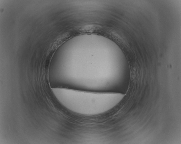 X0000076450504200610061049