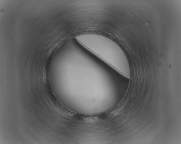 X0000076450508200610061049