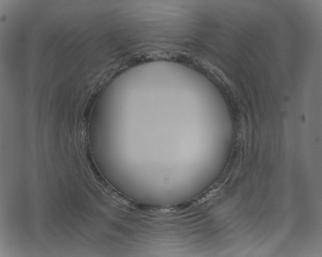 X0000076450513200610061049