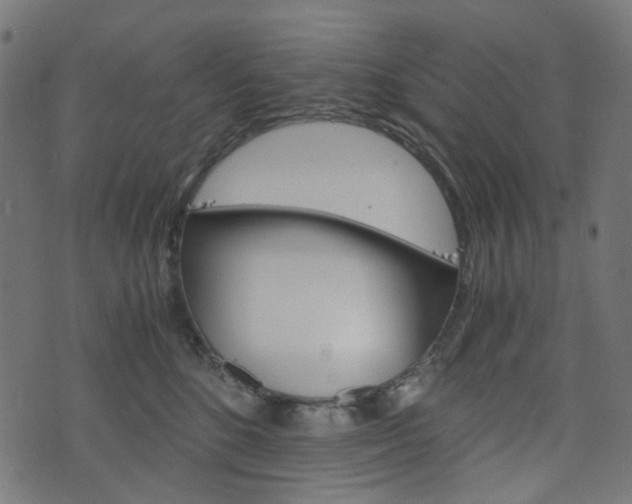 X0000076450520200610061049