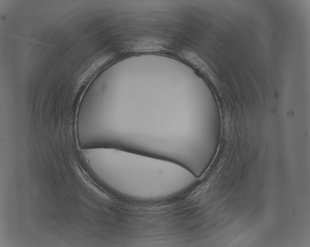 X0000076450533200610061048