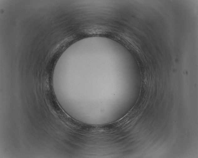 X0000076450547200610061048