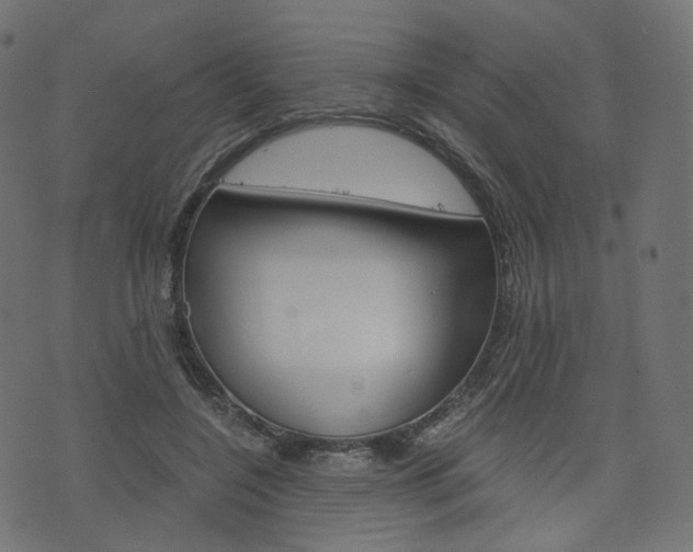 X0000076450548200610061048