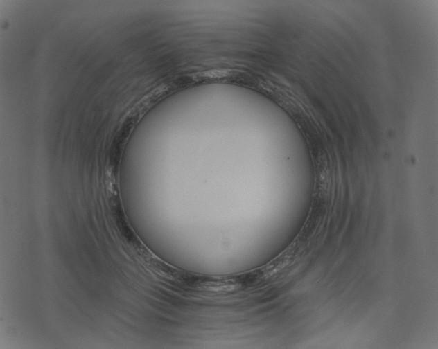 X0000076450555200610061048