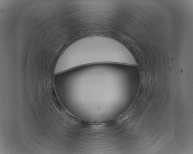 X0000076450560200610061048